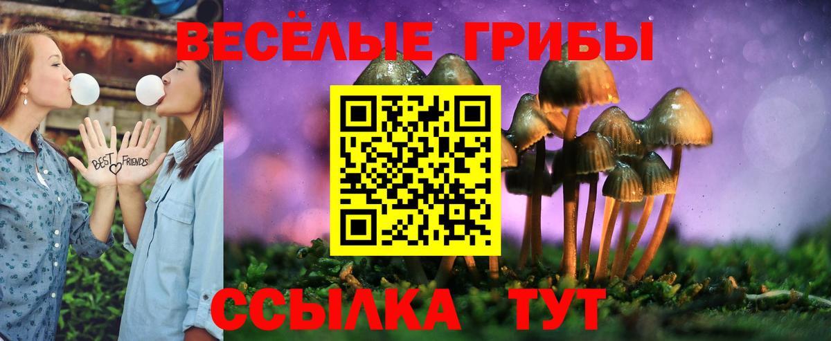 Лысьва  Галлюциногенные грибы MAGIC MUSHROOMS  Вход с VPN 
